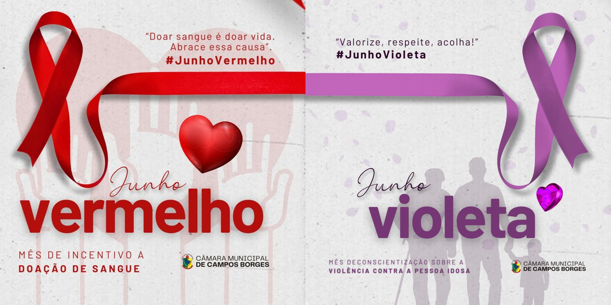 Junho Vermelho E Junho Violeta M S Da Conscientiza O Sobre A Doa O