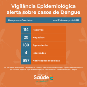 Carazinho possui 114 casos positivos de dengue 1